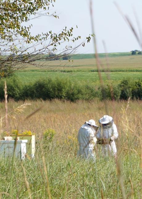 Honey Harvest in Iowa | Francois et Moi
