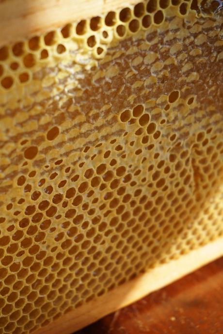 Honeycomb | Francois et Moi