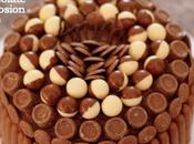 Chocolate Explosion Cake