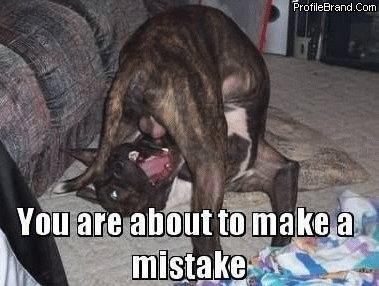 The Friday Fast 5: Five Things You Want to Check Out Right Now