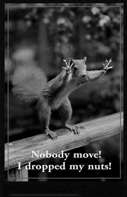 The Friday Fast 5: Five Things You Want to Check Out Right Now