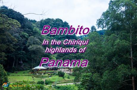 Bambito Chiriqui Panama