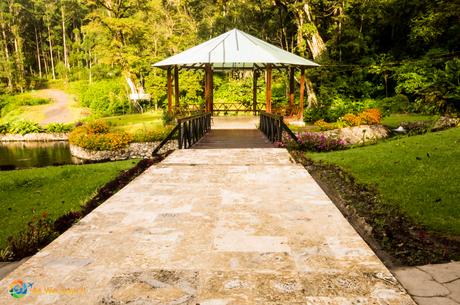 Gazebo along the lake to sit and read while listening to the waterfall and birds.