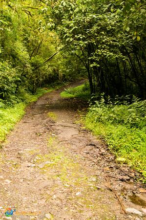 Secluded trail in Bambito, Chiriquí, Panama.