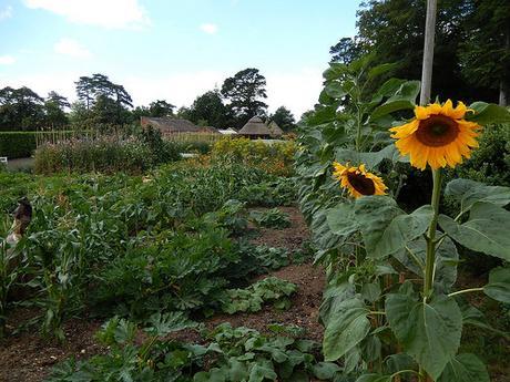 Kingston Lacy