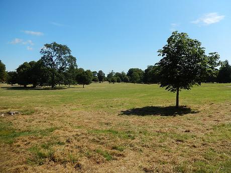 Kingston Lacy