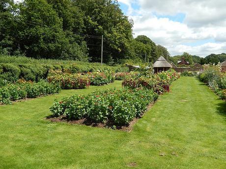 Kingston Lacy