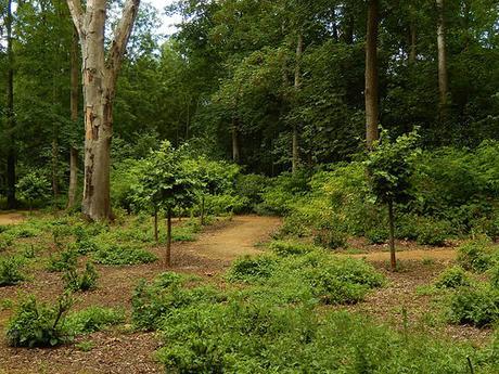 Kingston Lacy