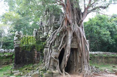 Taken in October of 2012 at Angkor