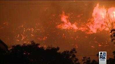 Wildlife managers assessing fire impacts