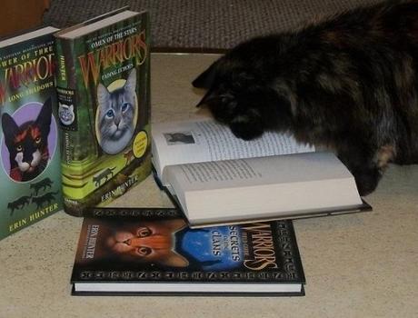 Top 10 Cats Reading Books About Cats