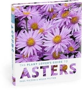 asters
