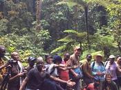 Hike Bwindi. Gorilla Highlands Adventure, Part