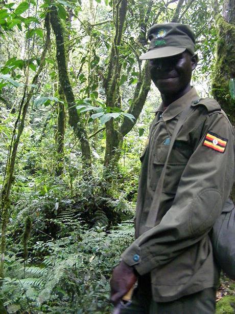UWA ranger, hiking Bwindi Uganda