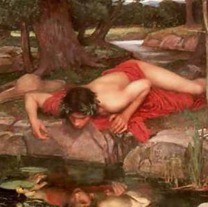 Narcissus2