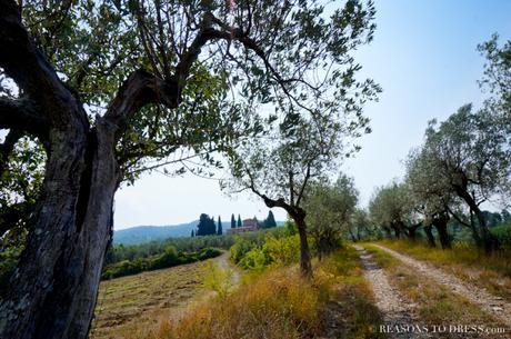 Mother Nature’s School – The Italian Path