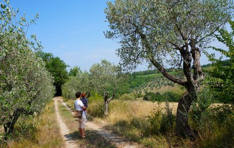 Mother Nature’s School – The Italian Path