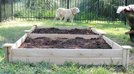 Raised Bed Vegetable Garden