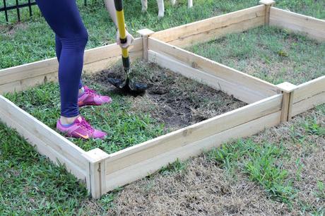 Raised Bed Vegetable Garden