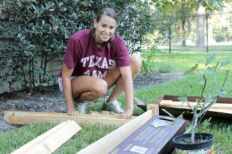 Raised Bed Vegetable Garden