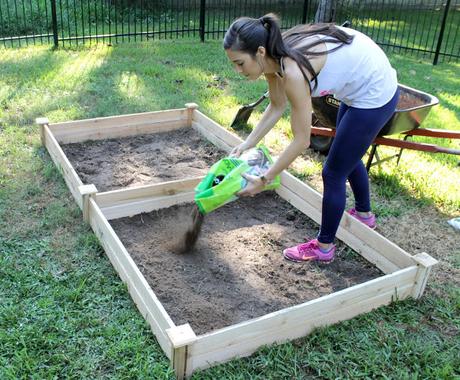 Raised Bed Vegetable Garden