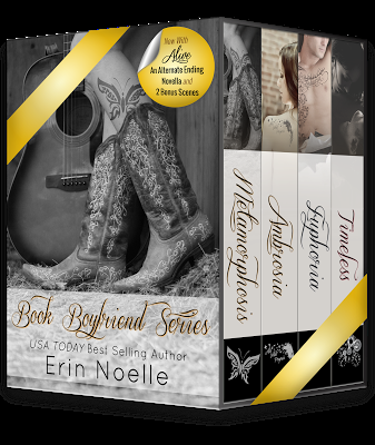 The Book Boyfriend Series- Erin Noelle- On Sale for a LImited Time!