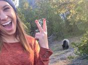 Colorado Trail Remains Closed Because People Taking Many Selfies With Bears