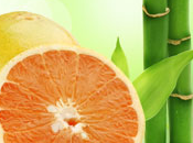 Bamboo White Grapefruit Fragrance