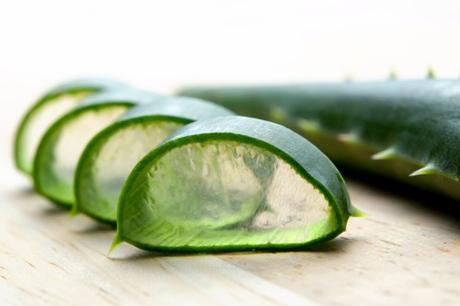 aloe vera for skin burns