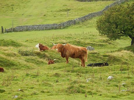 Finding Solomon’s Temple Finding Solomon’s Temple