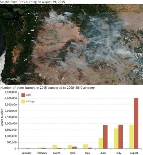 August 2015 sets new record for area burned by wildfire | NOAA Climate.gov