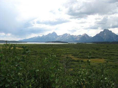 TemperateGrasslands