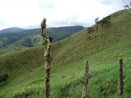 La Fortuna - Costa Rica - 004