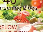 Tomato King Been Featured Edible Gardening Blogs,