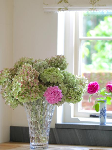 Drying-Hydrangeas