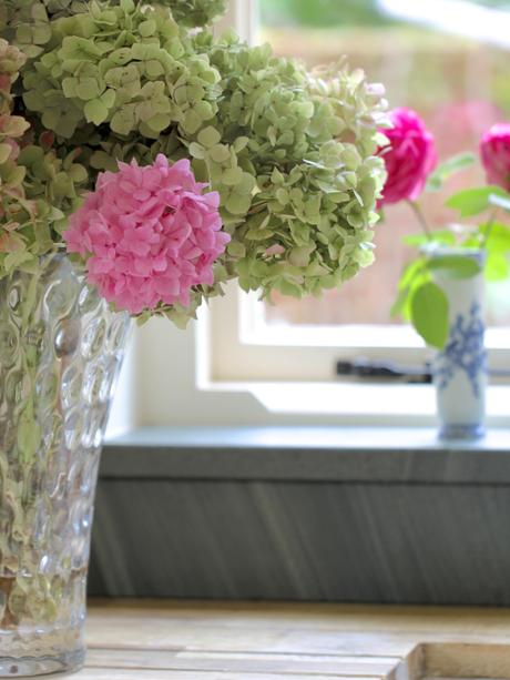 Drying-Hydrangeas