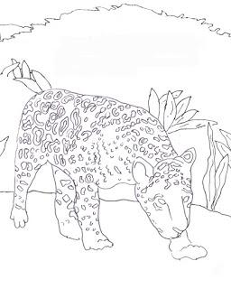 Coloring Page: Jaguar