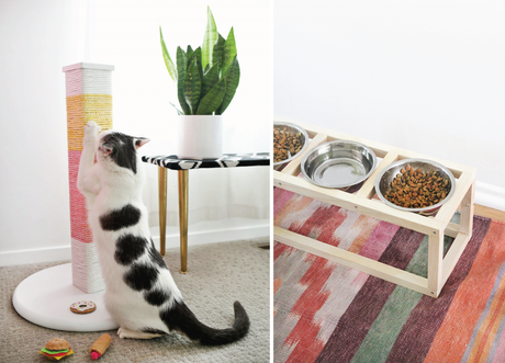 favorite-kitty-finds-diy