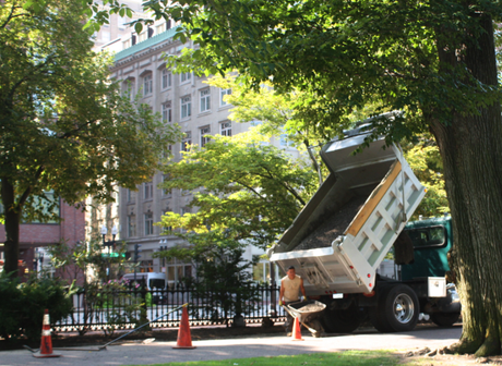 What’s New at the Boylston Street Border?