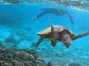 Protecting Biodiversity Planet Protects