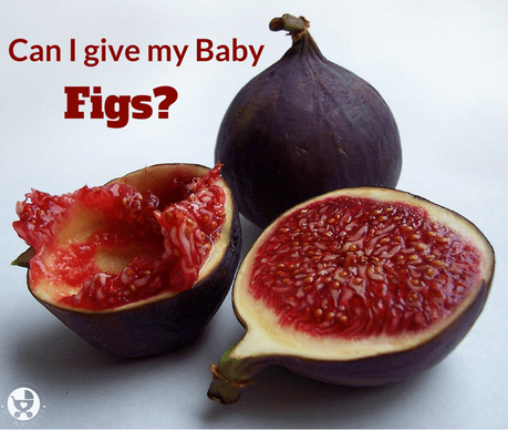 Can I give my Baby Figs?