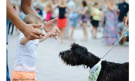 Secondhand Smoke Can Cause Cancer in Pets