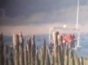 Cormorant Massacre Underway