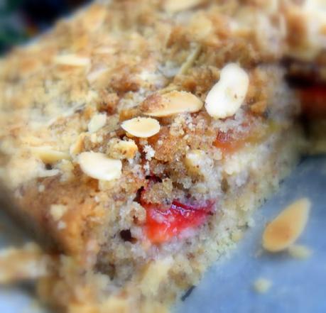 Plum and Hazelnut Crumble Slice