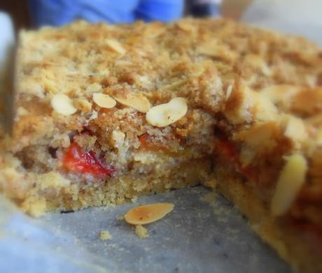 Plum and Hazelnut Crumble Slice