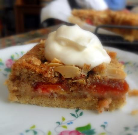 Plum and Hazelnut Crumble Slice