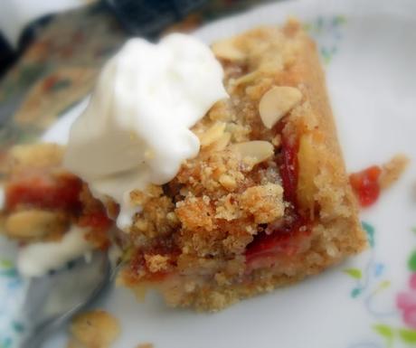 Plum and Hazelnut Crumble Slice