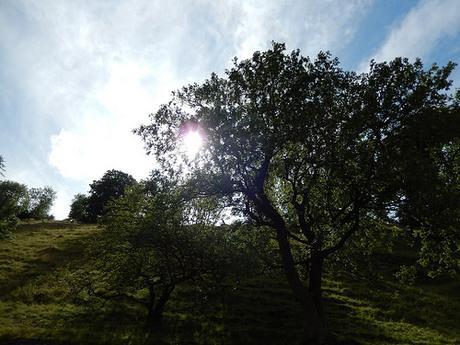 Dovedale and Wolfscote Dale (Part 1)