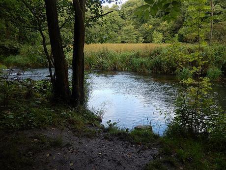 Dovedale and Wolfscote Dale (Part 1)