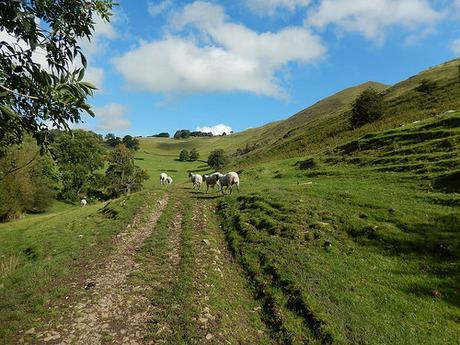 Dovedale and Wolfscote Dale (Part 1)